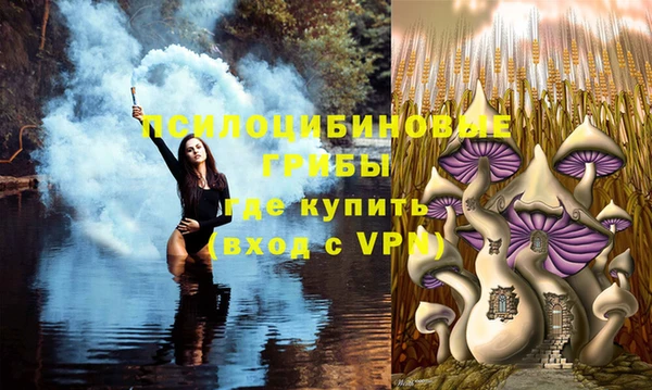 первитин Арсеньев