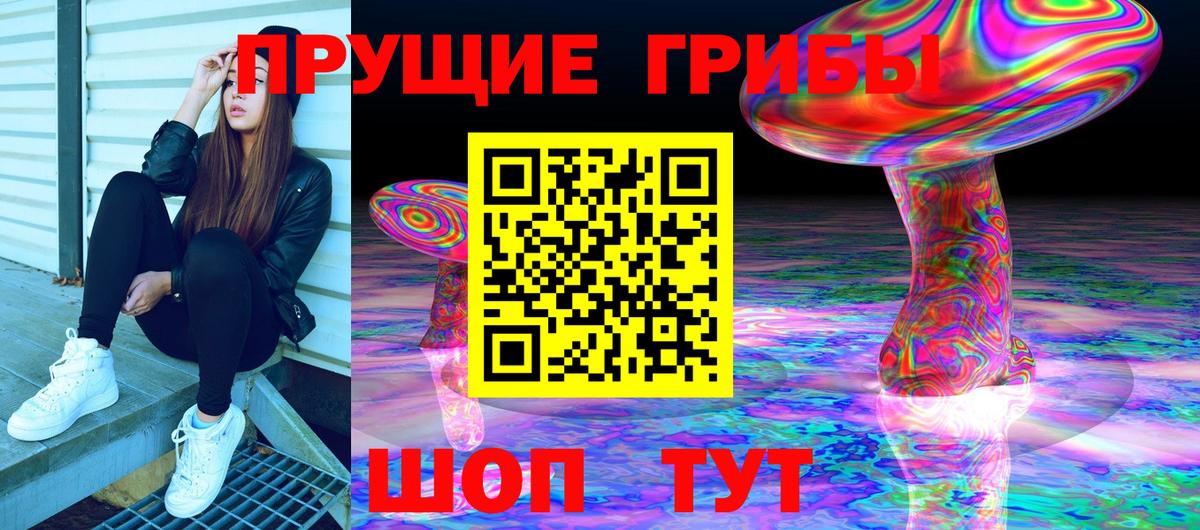 Галлюциногенные грибы Magic Shrooms  Вход с VPN  Выкса  Псилоцибиновые грибы MAGIC MUSHROOMS 